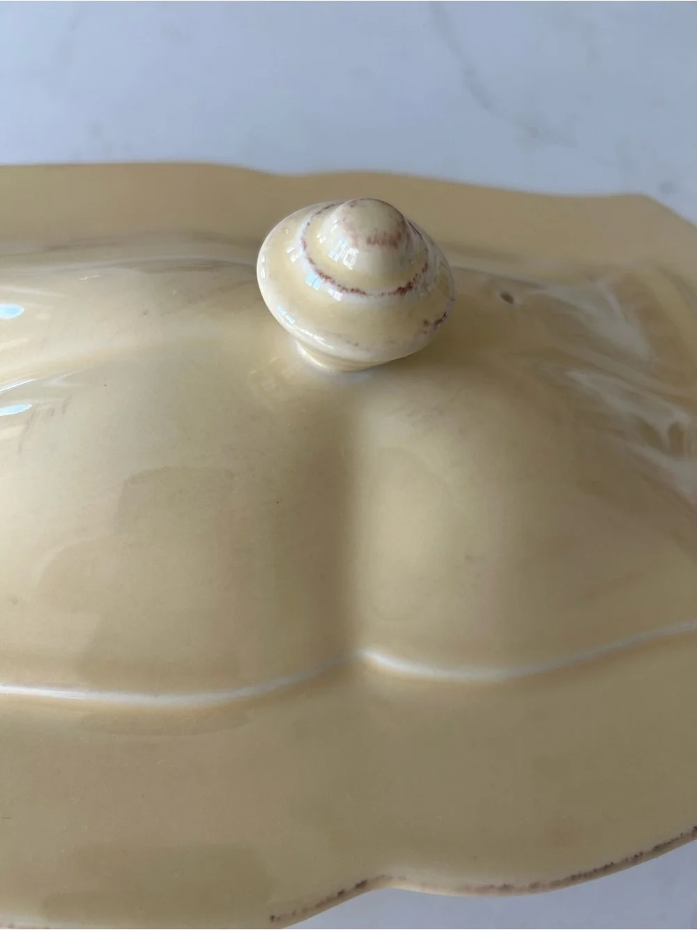 Skyros Designs Yellow Crème Rectangular Baker with Lid **RARE**